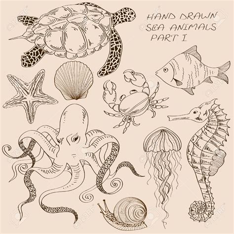 Conjunto De Aislados Dibujados A Mano De Contorno Animales Marinos Ilustraciones Vectoriales ...
