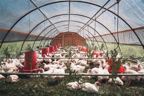 Bucks county foodshed alliance is seeking a motivated and dependable administrator who is passionate about local food and farms. Farming at its Finest in Bucks County, PA | Bucks county, Bucks county pa, Farm