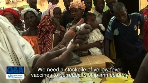 An estimated 200,000 people are still infected annually, and yf remains a major public health concern. WHO: Yellow fever vaccines global stockpile - Questions ...