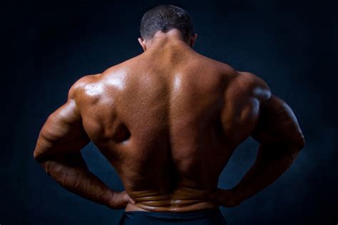 The muscles of the back that work together to support the spine, help keep the body upright and allow twist and bend in many directions. Building Muscle and Increasing Endurance Through ...