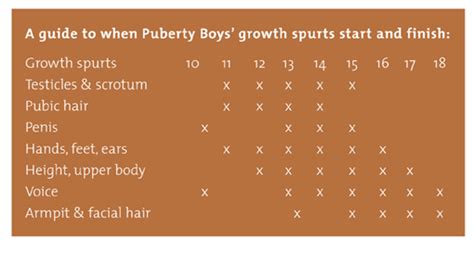 Boys develop a deeper voice and facial hair will start to appear. Male Puberty 5 Stages Changes