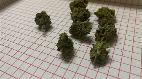 O ouro pode ser adquirido de graça durante as partidas, enquanto as joias só podem ser compradas com dinheiro real. MonterreyCannabis.com Venta de Marihuana a domicilio en ...