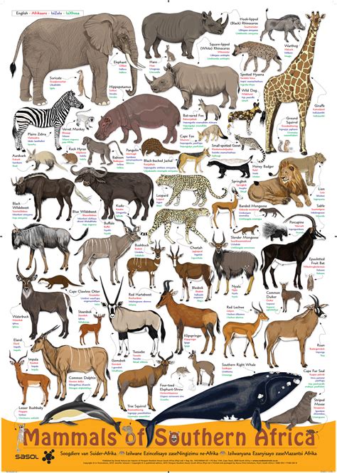 There are several animal species that are among the world's tallest, fastest or. Poster: Mammals of Southern Africa | Penguin Random House ...