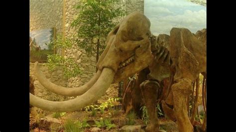 Tamil is a very old classical language and has inscriptions from 500 b.c and plays a significant role as a language in the world today. Radiocarbon Dating Meaning In Tamil - Good Root Info