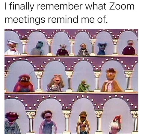 However, after having to spend much of their time on zoom, people online are posting realistic memes inspired by the video meeting app! Pin on Funny stuff