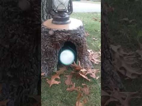 Check spelling or type a new query. Fake tree stump/ flood light cover finished! - YouTube ...