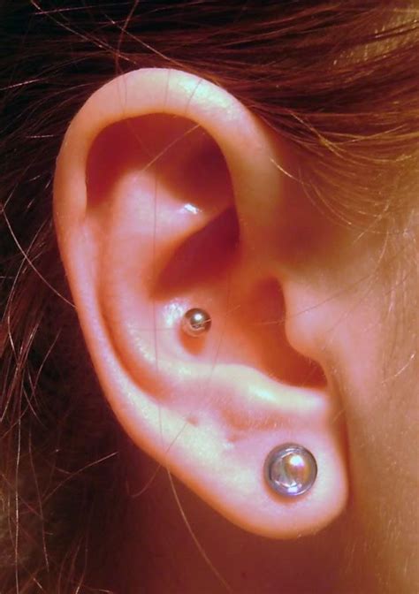 The most common jewelry choice for this is a simple. Conch Piercing: Facts, Precautions, Aftercare, Pictures ...