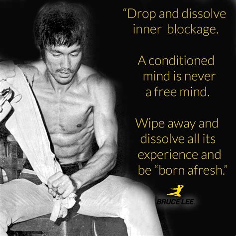 Pin by JKfantasyart13 on MY NAME IS BRUCE | Bruce lee quotes, Bruce lee ...