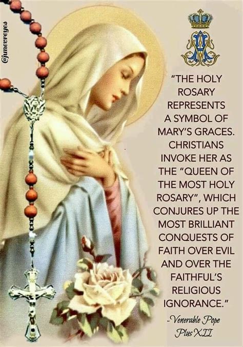 ***pray this new virtual rosary on: Pin by 💜𝓛𝓾𝓬𝓲💜 on Blessed virgin mary | Holy rosary, Rosary ...