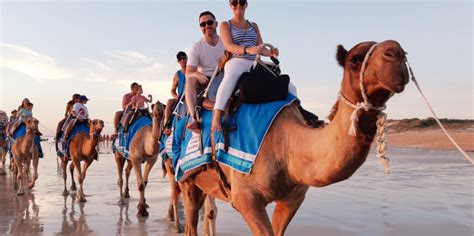 You will experience an authentic desert setting and there are numerous camel farms offering rides. Camel Rides Broome | Broome - Everything Australia