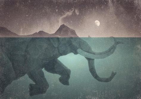 See more ideas about pansexual, pansexual pride, lgbt pride. elephant mountain | Backgrounds desktop, Abstract ...