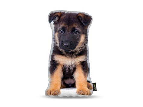 Breeders that guarantee their puppies will exhibit specific characteristics, look a certain way or grow to an exact size are providing false information. German Shepherd Puppy Shaped Pillow