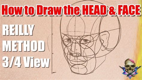 Draw the hair on top of the head. How to Draw the HEAD and FACE - REILLY METHOD 3/4 View ...