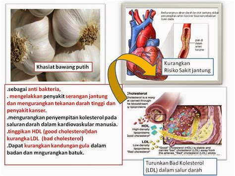 Ramai yang mungkin dah tahu pasal khasiat bawang putih ni, tapi mungkin ramai gak yang tatau kan… bawang putih ni sebenarnya boleh di buat ubat yang mujarab untuk saket? My Beautiful Life Journey: Hai-O Garlic Tablet