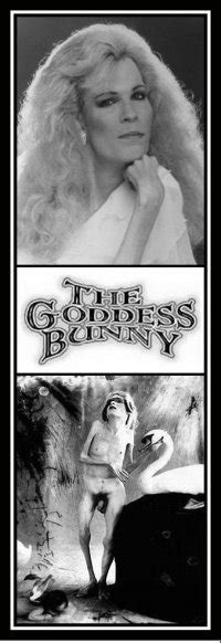 .bunny трансвестит, он же джонни байма (johnnie baima), он же сенди крисп (sandie crisp). The Goddess Bunny (Johnnie Baima) | ВКонтакте