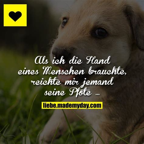 Der hund bleibt mir im sturme treu, der mensch nicht mal im winde. (arthur schopenhauer) ♥ ein hund ist wie ein herz auf vier beinen. (irisches sprichwort) ♥ „für seinen hund ist jeder ein napoleon.deshalb sind hunde so beliebt. (aldous leonard huxley) ♥ Sprüche Hund Mensch Beziehung | Sprüche Kurz 2020