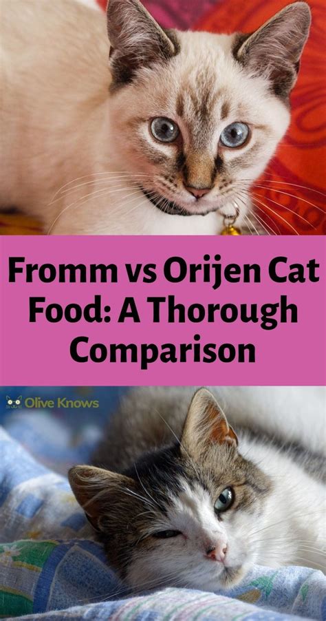 Discount taken on the petco regular price and is reflected in the product's. Fromm vs Orijen Cat Food: Decide Now. My Honest Pick ...