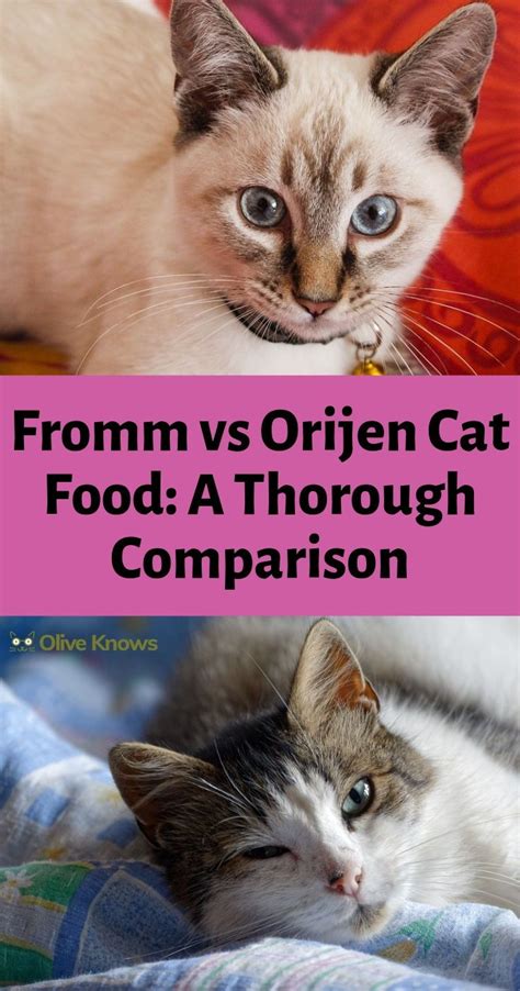 Sign up for repeat delivery and get free shipping! Fromm vs Orijen Cat Food: Decide Now. My Honest Pick ...