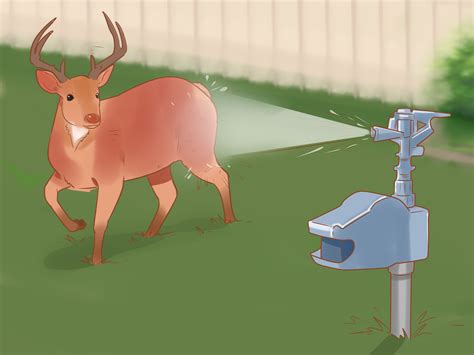 I've also had guys who were just flakes looking for a little fun, where i guess before anyone could get too into it (were they scared i'd get attached, or were they starting to feel something and trying to head that off, i never knew) they would start just being super jerky. 3 Ways to Break Up a Deer Fight - wikiHow