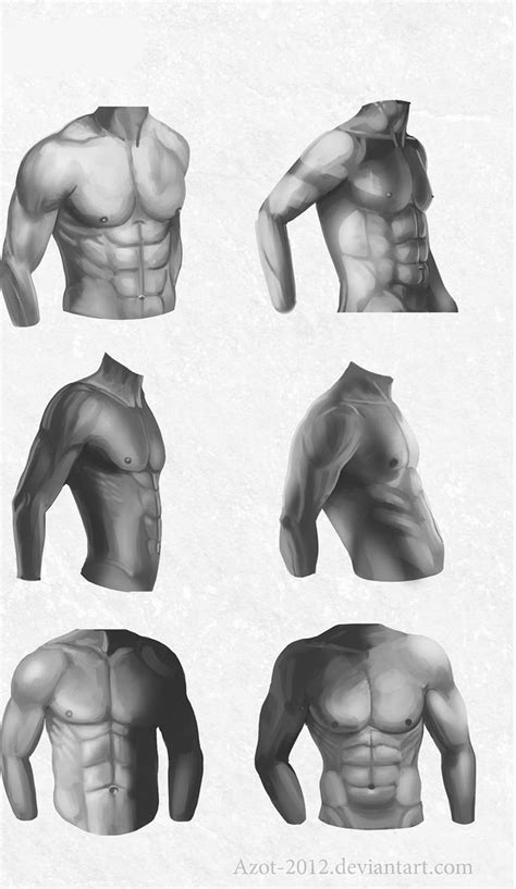 1cX84kTfeLU.jpg (865×1493) | Male body drawing, Human drawing reference ...