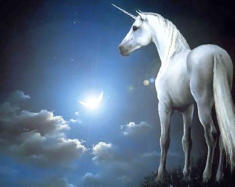 If you're in search of the best unicorn wallpaper, you've come to the right place. Unicorn Pictures wallpapers (61 Wallpapers) - HD Wallpapers