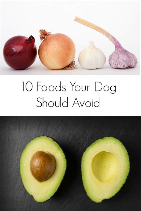 Overall, this is a superb dog food choice for many reasons. 10 Foods Your Dog Should Avoid | Food, Your dog, Food ...
