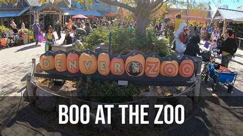 • remember, when visiting reciprocal zoos, you must present your membership card; "Boo at the Zoo" Trick or Treating at the Denver Zoo - YouTube