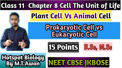 Usually animal and plant cells are so small that these can't be seen by the unaided eye. Lecture 7 Class 11 Ch.8-Animal Vs Plant Cell & Prokaryotic ...