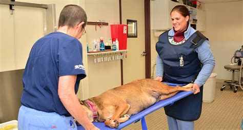 A rapidly growing network of veterinary hospitals. Emergency Care - Salmon Brook Veterinary Hospital