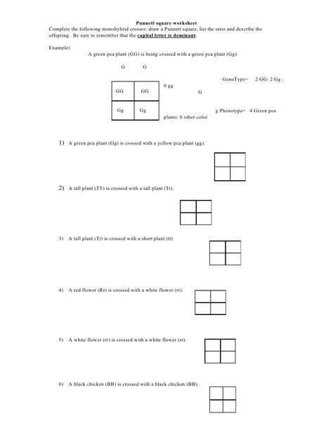 All possible genotypes for the haploid female gametes are listed. Punnett Square Worksheet