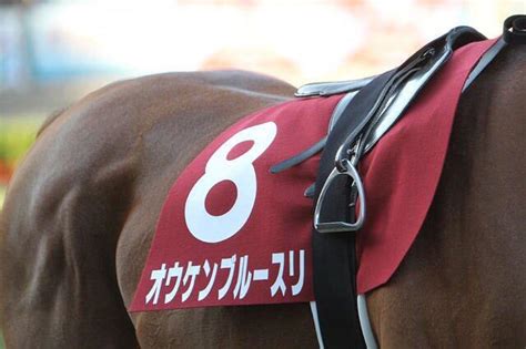 Jun 19, 2021 · 馬の名前じゃないけどアメリカのターフウェイパーク競馬場には芝コースが無い 44 名無しさん＠実況で競馬板アウト 2021/06/19(土) 23:08:33.64 id:73dxqfzu0 安田勝つ前のダノンキングリー 競走馬の名前のルールとは？ 意外と厳しい決まりを解説 ...