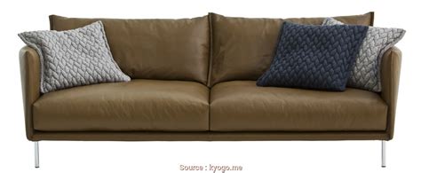 I cuscini divano hanno forme, dimensioni e imbottiture varie. Cuscini, Divano Marrone, Esclusivo BedDog 2In1, QUATTRO ...