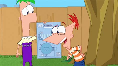 Play phineas and ferb backyard defense game on gogy! Backyard Aquarium - Phineas and Ferb Wiki - Your Guide to ...