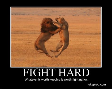 In his success and failure quotes, ward points out something important. Best 30 Fighter Motivational Quotes - Home, Family, Style ...