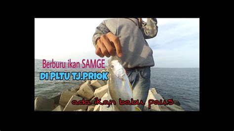 Lowongan kerja jakarta, bekasi, karawang, dan sekitarnya. Mancing ikan SAMGE di PLTU Tj.PRIOK - YouTube