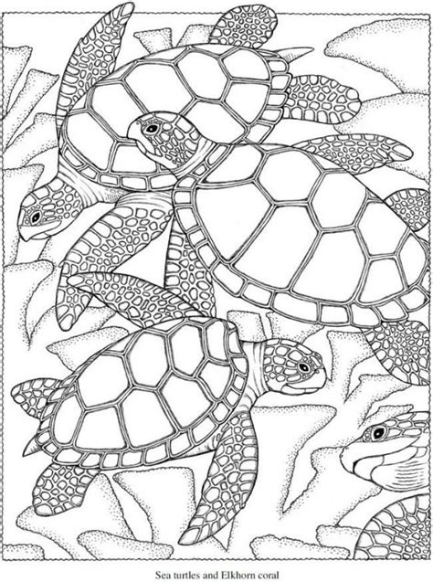 Express yourself and have fun with these animals coloring printables. Realistic sea Turtle hard coloring pages for advanced ...