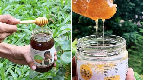 Examples of adulteration in a sentence. Most major Indian honey brands fail adulteration test in ...