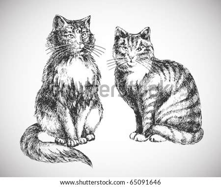 You can reduce or enlarge the image by adjusting the scale setting when printing. Two Cats Realistic Drawing Professional High Stock Vector ...