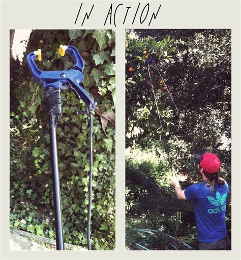 This is a widely used fruit picker that gives you effortless harvesting of peach, avocado, lemon, plum, apple, orange, pomegranate, nectarine, grapefruit and lime among others. DIY: Fruit Picker | Fruit picker, Outdoor power equipment, Diy