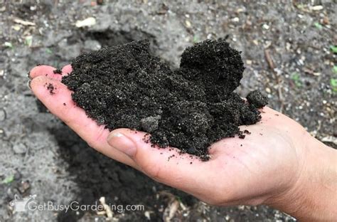 When you prepare a dinner for your family you try to include all the nutrients they need to stay healthy. How To Use A Soil Test Kit (Garden Soil Testing At Home)