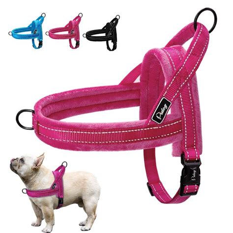 Friends if you are planning to bring a french bulldog puppy in your home and want to know the current price in india for 2020 in hindi then you should watch. 15 Must-Have Accessories for your French Bulldog ...