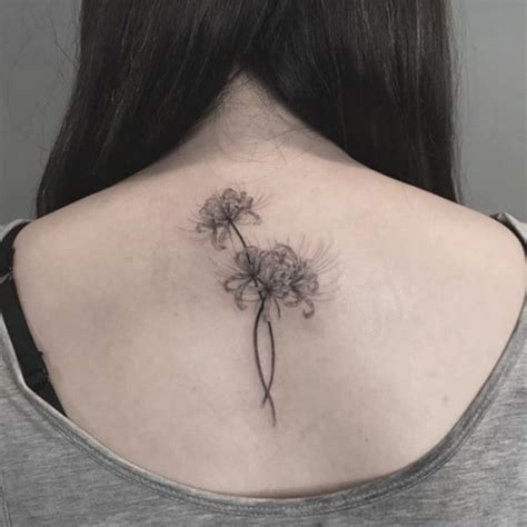 Hình xăm hoa bỉ ngạn cho nữ mini nhỏ đẹp và ý nghĩa | tattoo 2019hoa chờ một người, yêu tận tâm can. 30 Hình Xăm Hoa Bỉ Ngạn Đẹp - Ý NGHĨA NHẤT 2021