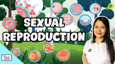 Reproduction in animals class 8 mcqs questions with answers. Sexual Reproduction in Animals | Biology - YouTube