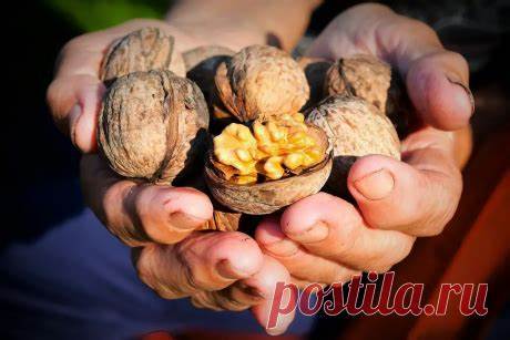 ХРОНИЧЕСКИЙ ПАНКРЕОТИТ ДИЕТ. ПЕЧЕНЬ. ГАСТРИТ ПОЧКИ | Нелли Барыбина Картинка - ХРОНИЧЕСКИЙ ПАНКРЕОТИТ ДИЕТ. ПЕЧЕНЬ. ГАСТРИТ ПОЧКИ | Нелли Барыбина