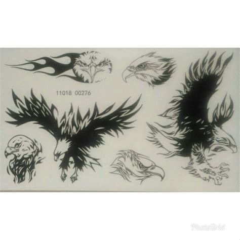 We did not find results for: 14+ Gambar Tato Burung Elang Di Lengan