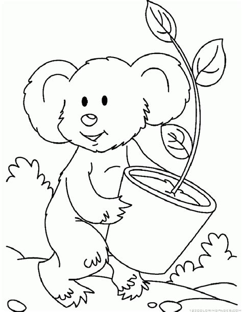 There are over 1000 free printable coloring pages at stevie doodles. Koala Pictures To Print - Coloring Home