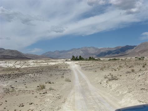 You've seen fruit trees, cedar trees, and pine trees. Lower Saline Valley Hot Springs | HotWaterSlaughter - Hot ...