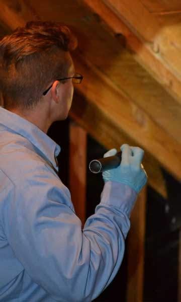 Whether it's for homes, commercial structures, or industry, you can choose an option to have either monthly. DSR Pest Management offers great Residential pest control ...