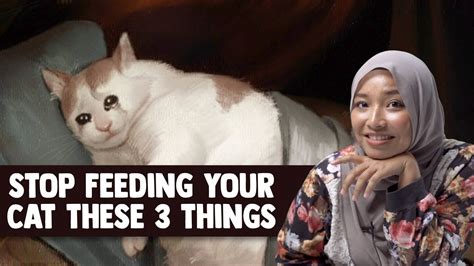 Feeding too much tuna to your cat. Stop Feeding Your Cat These 3 Things - YouTube