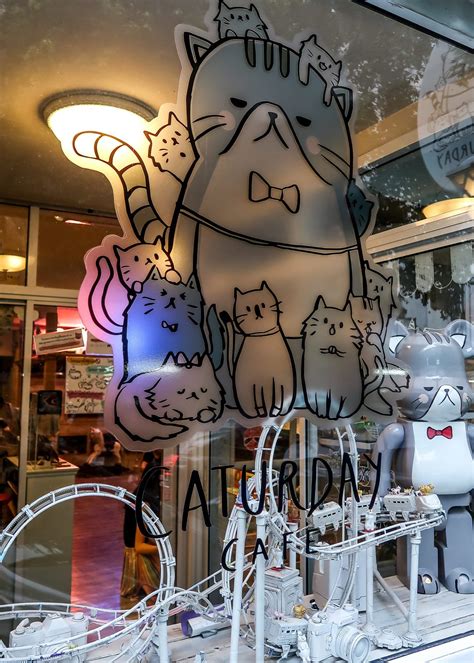 Maybe you would like to learn more about one of these? Caturday: The Cat Cafe, Bangkok | Elizabeth Dhokia | Cat ...